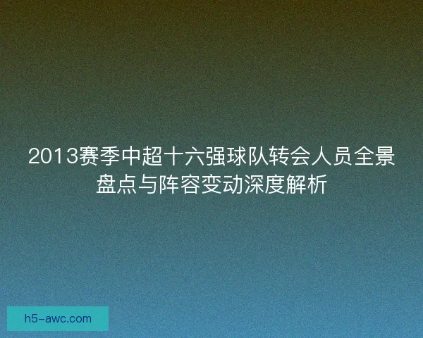 2013赛季中超十六强球队转会人员全景盘点与阵容变动深度解析