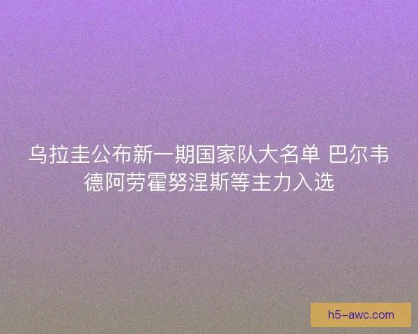 乌拉圭公布新一期国家队大名单 巴尔韦德阿劳霍努涅斯等主力入选